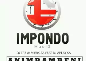 DJ Tpz - Animbambeni Remix ft. M’erk SA & DJ Aplex
